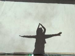 img (8)